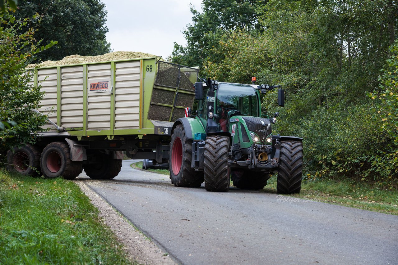 Bild 225 - Maisernte